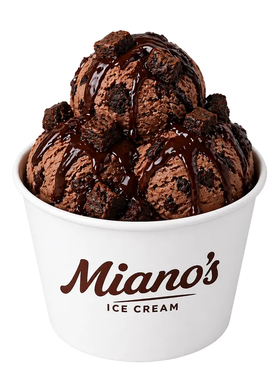 Fudgy Brownie Bliss ice cream scoop