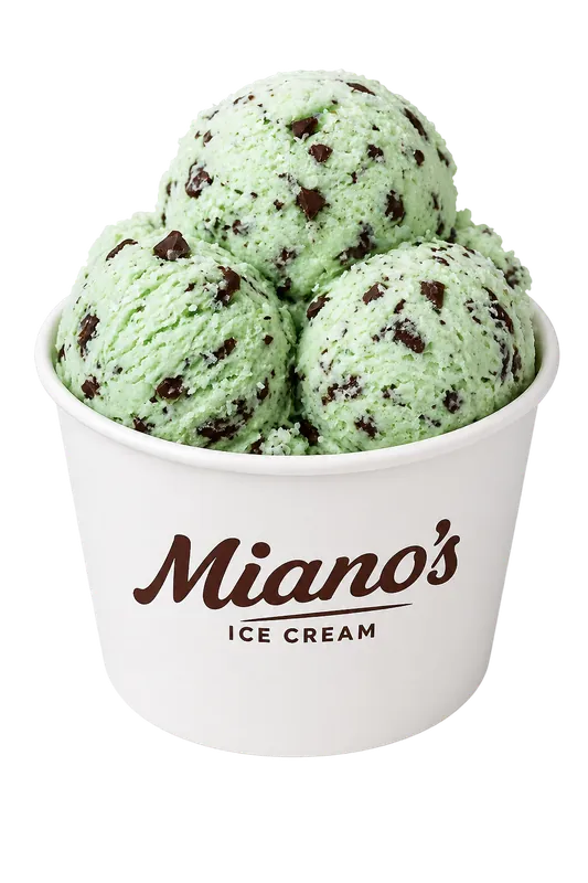Mint Chocolate Chip ice cream scoop